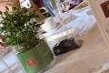 40th Anniversary Lunch - Meal