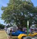 Culford Classic Car Rally 2026